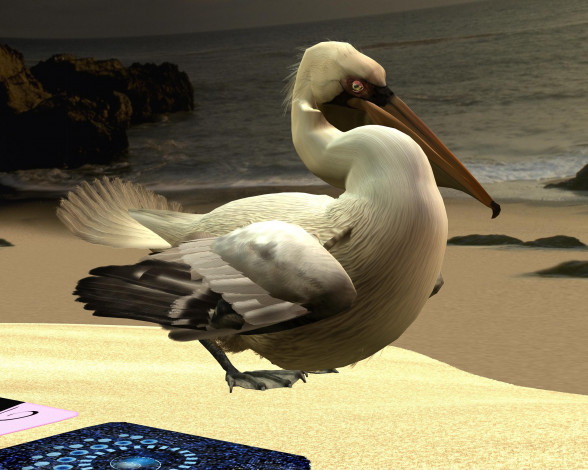 Обои картинки фото рelikanovom on beach, 3д графика, fantasy , фантазия, пляж, пеликан