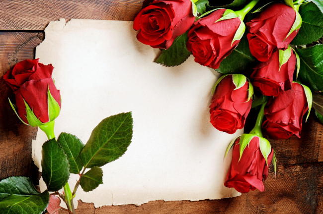 Обои картинки фото цветы, розы, красные, with, love, romantic, flowers, red, roses