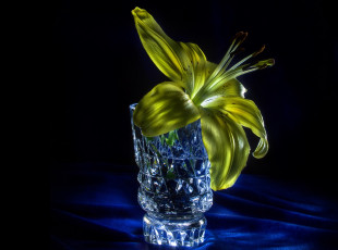 Картинка цветы лилии +лилейники фон жёлтая лилия стакан