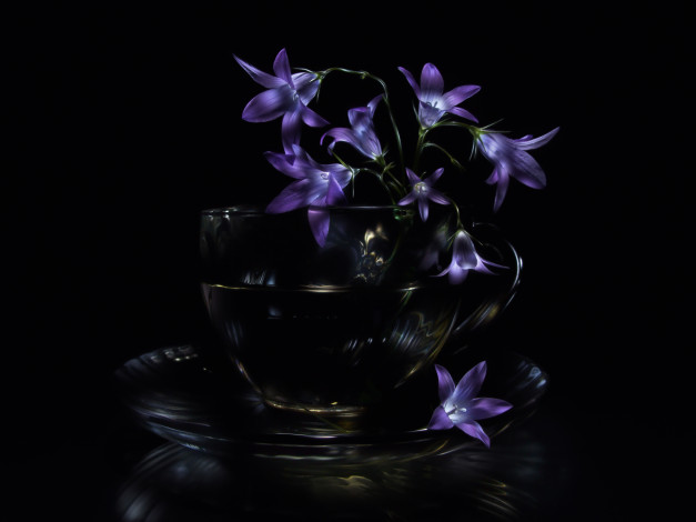 Обои картинки фото цветы, колокольчики, стеклянная, чашка, тёмный, фон