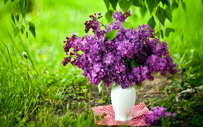 Обои картинки фото цветы, сирень, букет, трава, ваза