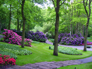 Картинка природа парк keukenhof gardens