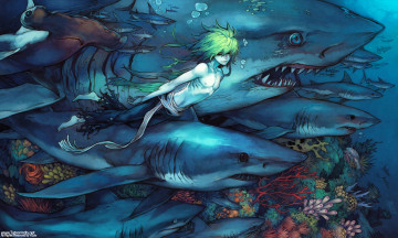 Картинка аниме животные +существа парень акулы