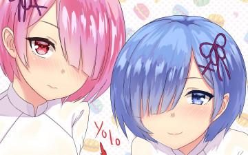 Картинка аниме re +zero+kara+hajimeru+isekai+seikatsu девушки взгляд фон