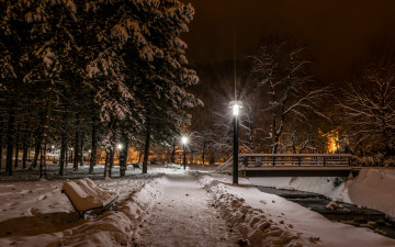 Картинка природа парк фонари ночь
