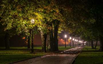 Картинка природа парк фонари ночь