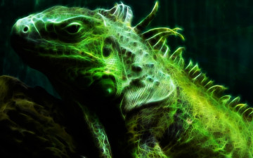 Картинка разное компьютерный+дизайн игуана ящерица зеленая ветка