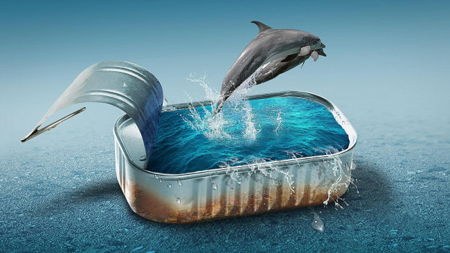 Обои картинки фото юмор и приколы, дельфины, вода, банка