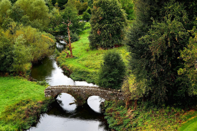 Обои картинки фото природа, реки, озера, деревья, река, каменный, мостик