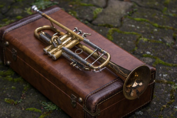 обоя музыка, -музыкальные инструменты, труба