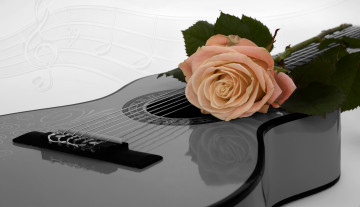 обоя музыка, -музыкальные инструменты, цветок, гитара