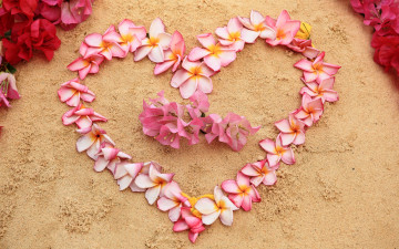 Картинка цветы букеты +композиции plumeria heart love sand pink песок romantic пляж beach плюмерия сердце floral flowers