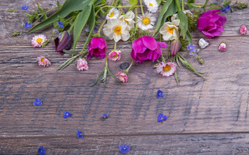 Картинка цветы разные+вместе colorful весна бутоны flowers лента букет spring pink wood