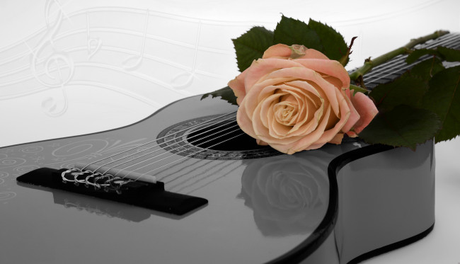 Обои картинки фото музыка, -музыкальные инструменты, цветок, гитара