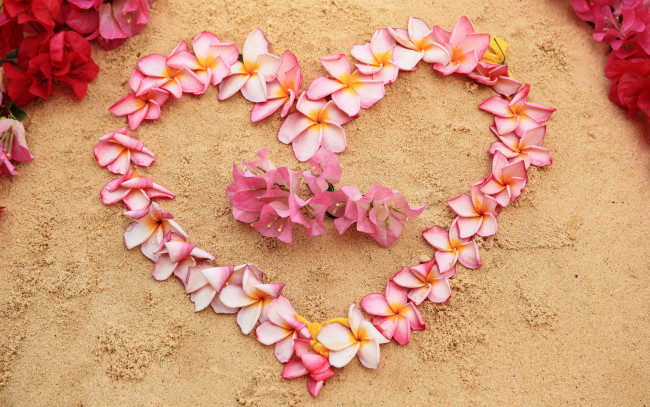 Обои картинки фото цветы, букеты,  композиции, plumeria, heart, love, sand, pink, песок, romantic, пляж, beach, плюмерия, сердце, floral, flowers