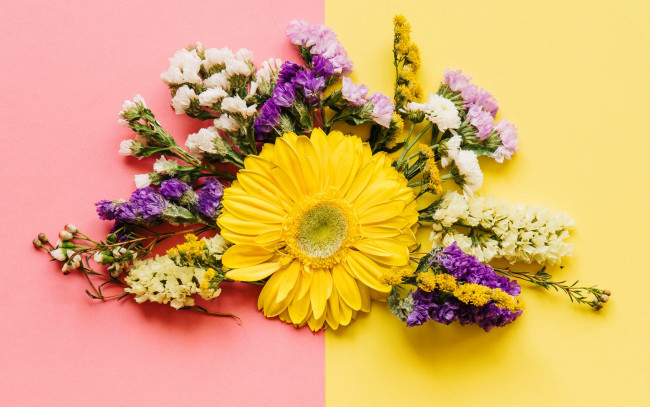 Обои картинки фото цветы, букеты,  композиции, весна, colorful, композиция, bright, хризантемы, spring, flowers