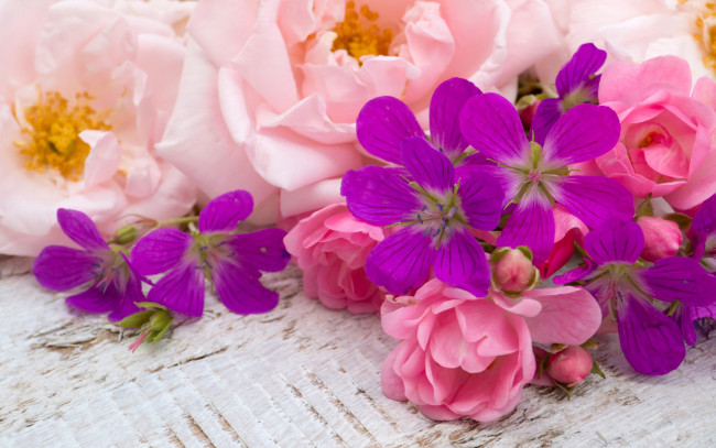 Обои картинки фото цветы, разные вместе, бутоны, розовые, wood, bud, pink, flowers