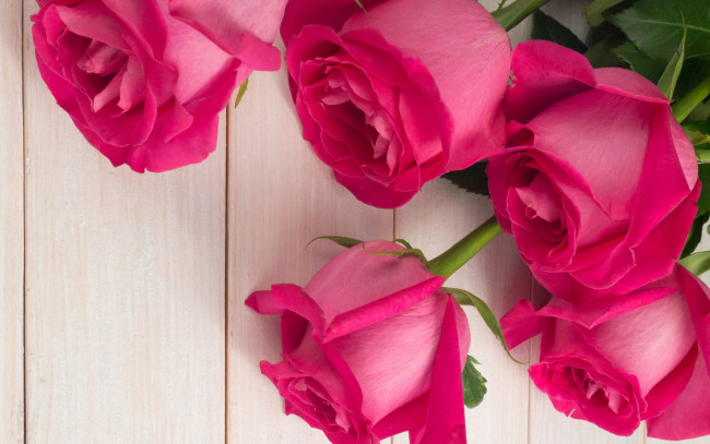 Обои картинки фото цветы, розы, бутоны, розовые, roses, pink, букет, bud, flowers