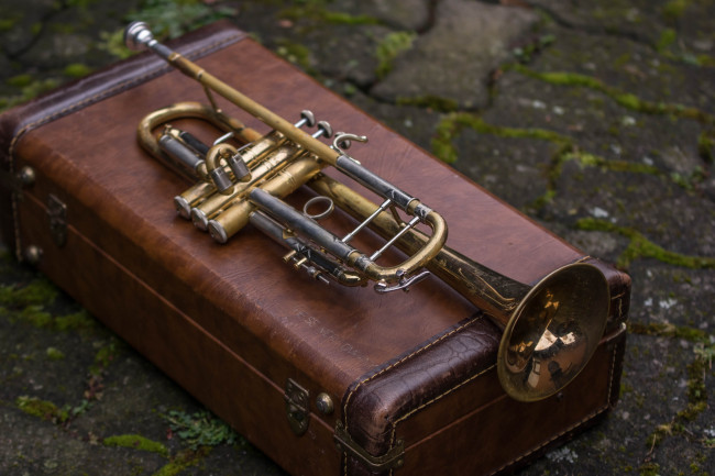 Обои картинки фото музыка, -музыкальные инструменты, труба