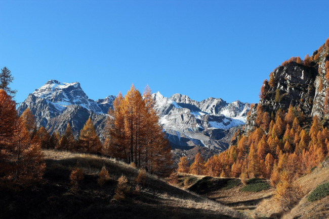 Обои картинки фото природа, горы, осень, снег, деревья
