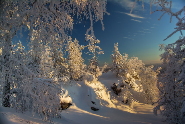 Обои картинки фото природа, зима, небо, снег, зимний, лес