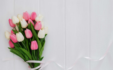 Картинка цветы тюльпаны букет бутоны лента
