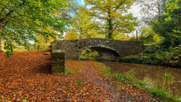 Картинка природа парк водоем мостик осень листопад