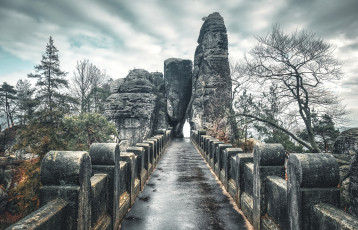 Картинка города -+мосты пейзаж roman malik деревья мост национальный парк скалы мокрый камни облака пасмурно германия саксонская швейцария бастай саксония
