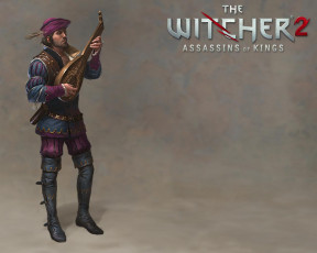 Картинка the witcher assassins of kings видео игры