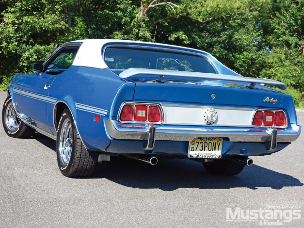 Обои картинки фото 1973, ford, mustang, автомобили