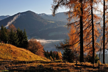 Картинка природа горы осень австрия