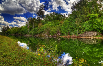 Картинка природа реки озера отражение деревья вода трава зелень