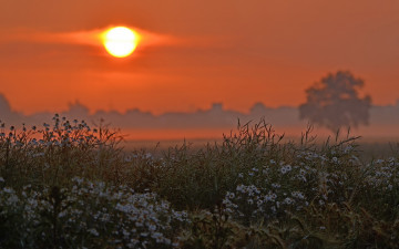 Картинка природа восходы закаты поле пейзаж красота закат