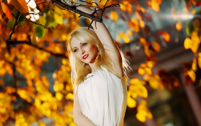 Обои картинки фото -Unsort Блондинки, девушки, unsort, блондинки, дерево, осень