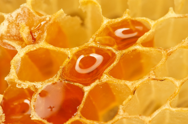Обои картинки фото еда, мёд, варенье, повидло, джем, соты