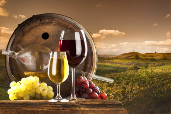 Картинка еда напитки вино небо облака природа бокалы бочка красное белое виноградник виноград