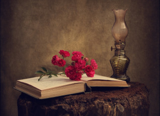 Картинка цветы розы книга лампа