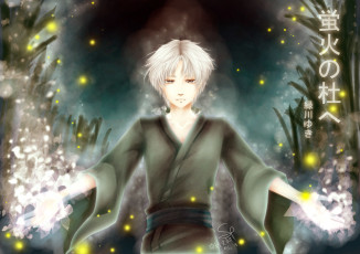 Картинка аниме *unknown+ другое гин парень в лес где мерцают светлячки anime art призрак
