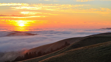 Картинка природа восходы закаты деревья солнце небо трава туман закат горы облака