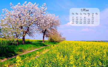 обоя календари, природа, весна