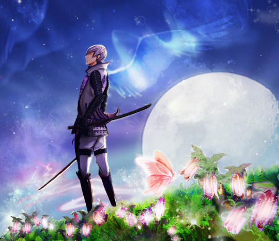 Обои картинки фото аниме, sengoku basara, северное, сияние, звезды, mitsunari, ishida, луна, крылья, бабочка, парень, оружие, катана, sengoku, basara, эпоха, смут, цветы