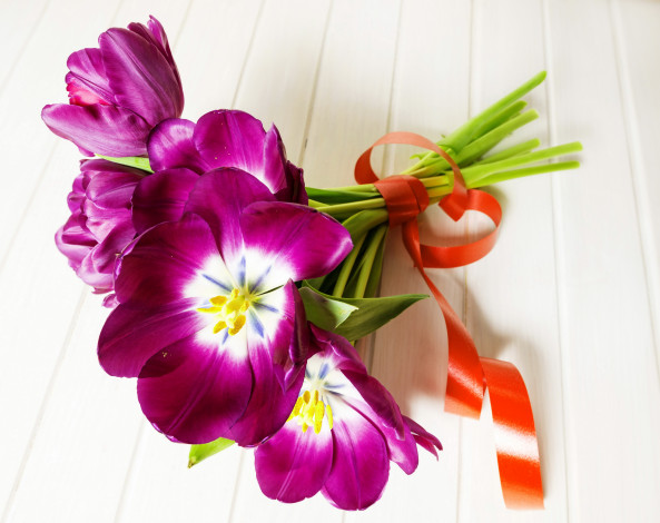 Обои картинки фото цветы, тюльпаны, букет, лента