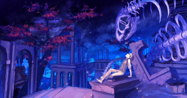 Обои картинки фото аниме, *unknown , другое, скелет, ночь, парень, арт, mizukai, колонны, руины, звезды, небо, цветы