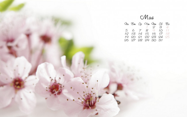 Обои картинки фото календари, цветы, весна