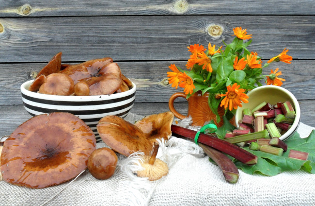 Обои картинки фото еда, грибы,  грибные блюда, ревень, календула