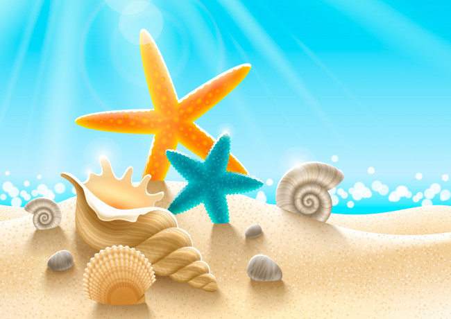 Обои картинки фото векторная графика, ракушки, морские, звезды, свет, песок, вода, пляж