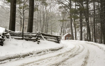 Картинка природа зима дом лес дорога