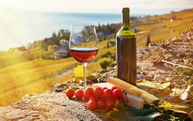 Обои картинки фото еда, напитки,  вино, сыр, бутылка, вино, помидоры, бокал