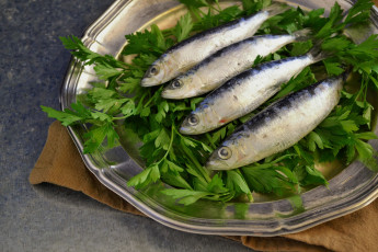 Картинка еда рыба +морепродукты +суши +роллы сардины елень