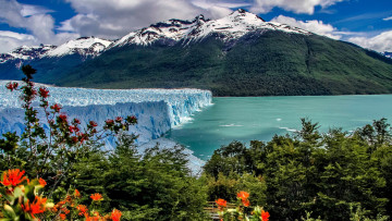 обоя peitro moreno glacier, argentina, природа, айсберги и ледники, peitro, moreno, glacier